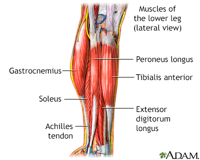 Leg pain - UF Health