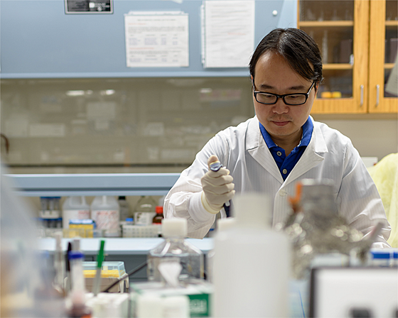 Rui Xiao, Ph.D, a geriatrics and pharmacology researcher in the UF College of Medicine, works in his laboratory.