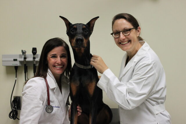 Two doctors with a doberman