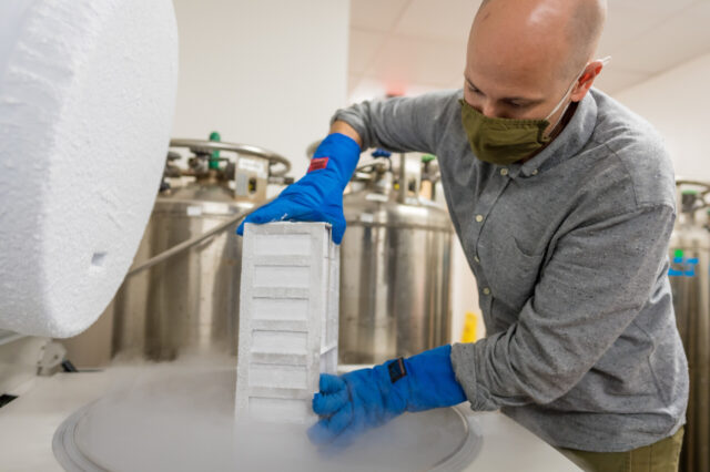 Matthew Schaller, PhD, removes a container of cryopreserved lung tissue from an ultra-cold freezer in his laboratory.