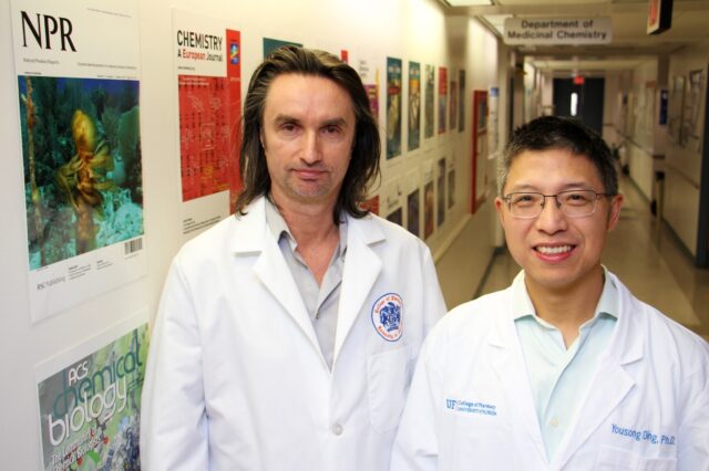 Hendrik Luesch, Ph.D., and Yousong Ding, Ph.D., co-authored the study that identified the genes responsible for producing dolastatin 10.