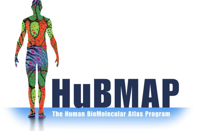 HuBMAP graphic