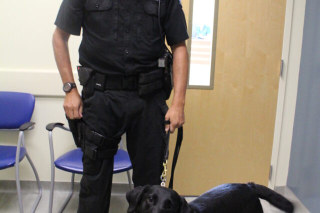 Officer Dale Holmes of the University of Florida Police Department is shown with Boomer, an explosives detective K9, as they awaited Boomer's eye examination at the UF Small Animal Hospital in May 2016. (Photo by Sarah Carey)