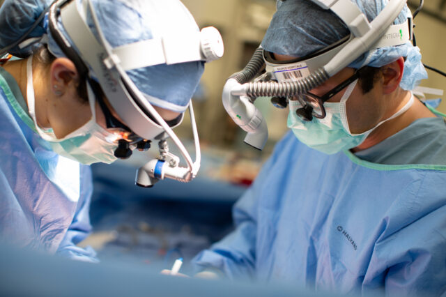 Two doctors performing a lung transplant