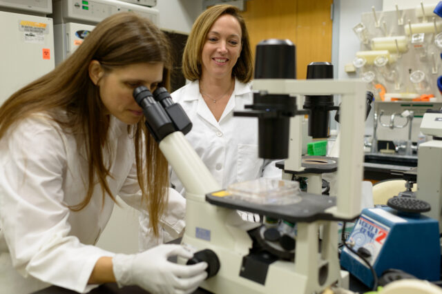 UF Health researchers Stephanie Karst, Ph.D. (right), and Melissa Jones, Ph.D., have discovered how to grow the norovirus in human cells, opening the way to develop antivirals and vaccines.
