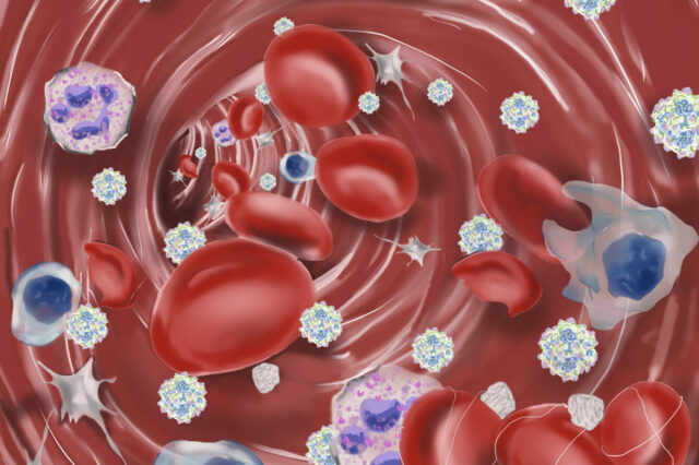 Red blood cells, lymphocytes, neutrophils, macrophages, and platelets are pictured flowing through the blood stream alongside adeno associated viral (AAV) particles.
