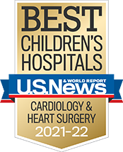 U.S. News & World Report High Performing Badge - pediatric cardiology and heart surgery