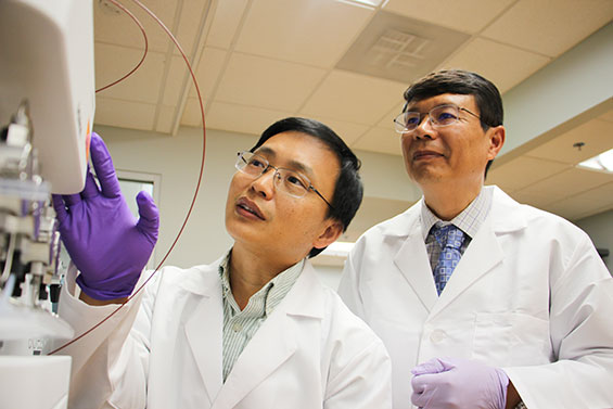 Guangrong Zheng, Ph.D., an associate professor of medicinal chemistry, and Daohong Zhou, Ph.D., a professor of pharmacodynamics and the Henry E. Innes Professor of Cancer Research, collaborate on anti-aging research. The pair received a $2.5 million NIH grant to study selective elimination of senescent cells in 2019.
