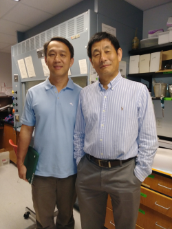 Lei Zhou, Ph.D., (left) is an associate professor in the UF College of Medicine’s department of molecular genetics and microbiology. Sihong Song, Ph.D., is an associate professor of pharmaceutics in the UF College of Pharmacy. 