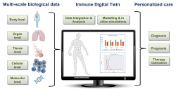 A “digital twin” of the human immune system can be developed by integrating and analyzing multi-scale biological data.   