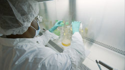 A laboratory worker at Eli Lilly prepares a solution used to manufacture bamlanivimab, a new monoclonal antibody therapy for COVID-19.  When given within 10 days of a positive COVID-19 test, these man-made antibodies may help lessen the severity of the disease and reduce the need for hospitalization in people most at risk of developing severe COVID-19.