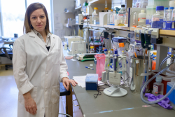 Isabelle Côté, Ph.D., was a postdoctoral associate in the UF College of Medicine’s department of pharmacology and therapeutics when the melanocortin research was conducted. She is now a postdoctoral associate in the department of pediatrics