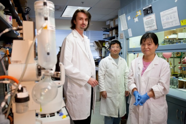 Left to right: Hendrik Luesch, Ph.D., director of the Center for Natural Products, Drug Discovery and Development, and Qi-Yin Chen, Ph.D., and Yanxia Liu, Ph.D.