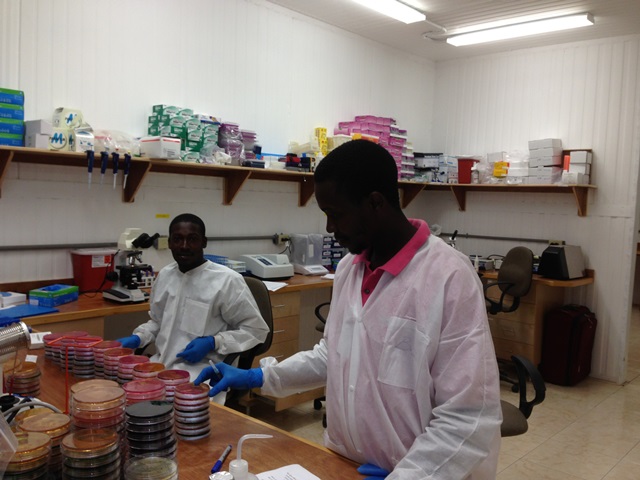 Haitian-trained technicians working in the UF/EPI laboratory in Gressier, Haiti