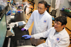 UF College of Pharmacy researchers Guangrong Zheng, Ph.D., pictured left, and Daohong Zhou, M.D., led a team of scientists in the development of the first BCL-xL and BCL-2 PROTAC dual-degrading compound for treating cancer cells. (Note: This image was taken at a time when masks were not expected to be worn indoors on campus.)