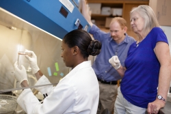 Graduate student Mam Mboge inspects a sample of cancer cells as Robert McKenna, Ph.D., and Susan Frost, Ph.D., look on. McKenna and Frost are professors of biochemistry and molecular biology in the UF College of Medicine. The trio are part of a group of researchers who found that saccharin can inhibit the growth of cancer cells. 