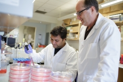 Dr. Thomas Schmittgen, pictured right, is studying a natural therapy for treating liver cancer by restoring microRNA levels in cancer cells.