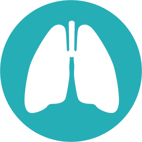 Icon of Lungs