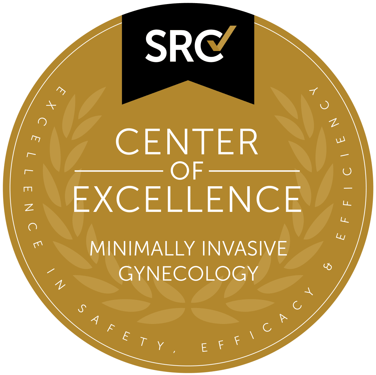 Center of Excellence in Minimally Invasive Gynecology badge