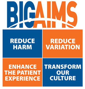 Big Aims Logo