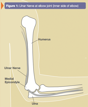 Ulnar nerve at elbow joint