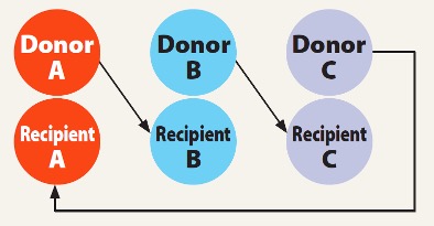 In a three pair exchange, donor A gives their kidney to Donor B. Donor B gives their kidney to Donor C, and Donor C give Donor A their kidney.