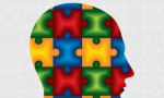 A graphic of a human head made up of interlocking puzzle pieces.
