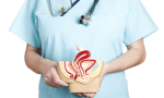 Doctor holding a model of a pelvic organ