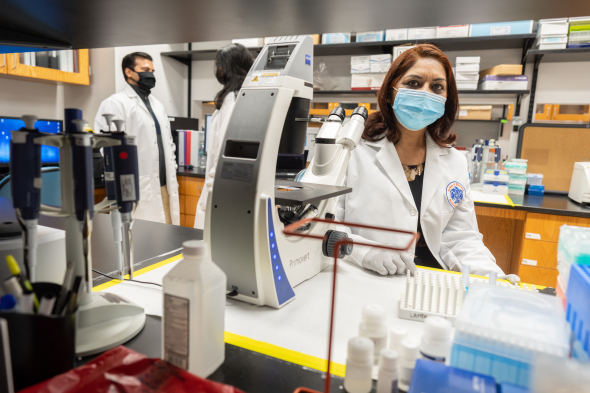 Researchers in lab coats and masks work in a laboratory working with samples and a microscope.