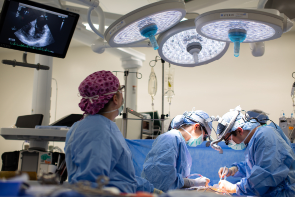 Members of UF Health’s lung transplant team, shown performing a procedure in a 2019 photo, have been recognized as an elite program by U.S. News & World Report.