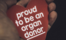 a hand holding a read heart with the words proud to be an organ donor on it