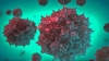 Sspiky, ball-shaped viruses